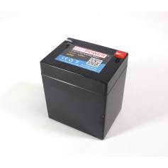 Enerpower, Enerpower 12.8V 4.8Ah - LiFePo4 (Austausch der Bleibatterie), LiFePO4 Akku, NK497