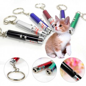 Oem - Sleutelhanger 2in1 laserpen + LED Light Led Laser Pointer -  - AL1109-CB