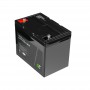 Green Cell - Batteria Green Cell LiFePO4 12,8V 60Ah 768Wh per pannelli solari e camper - Batteria LiFePO4 - GC118-CAV11