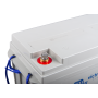 Victron energy - Victron 12V/106Ah (C20) Batteria al piombo-carbone con inserto M8 - Battery Lead-acid  - SL463