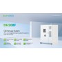 Dyness - Dyness DH200F unità 215kWh All-in-one , LiFePO4 - Batterie commerciali - SL495
